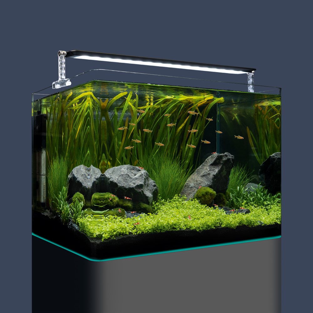 Dennerle Nano Tank Plant Pro 70