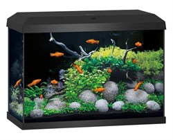 Juwel PRIMO 2.0 70 аквариум 70л черный (Black) 61х31х44см LED 8w Фильтр Bioflow One нагреватель 50 Вт Juw-25570 - фото 31617