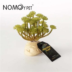 Искусственное растение Nomoy Pet "Эониум", 11 см - фото 32126