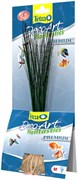 Tetra Hairgrass L (35 см) - декоративное искусственное растение 203792