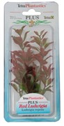 Tetra Red Ludwigia 15 см - растение для аквариума 606920