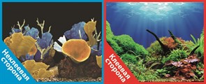 Фон двусторонний 60x30см с одной самоклеящейся стороной Морские кораллы/Подводный мир (СК)