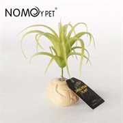 Искусственное растение Nomoy Pet "Тилландсия капитата", 13 см