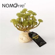 Искусственное растение Nomoy Pet "Эониум", 11 см